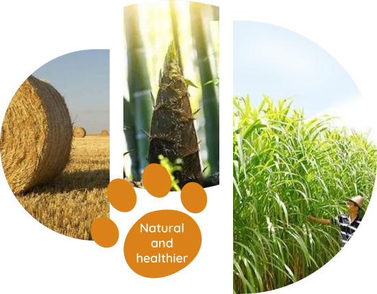 Raw material advantages