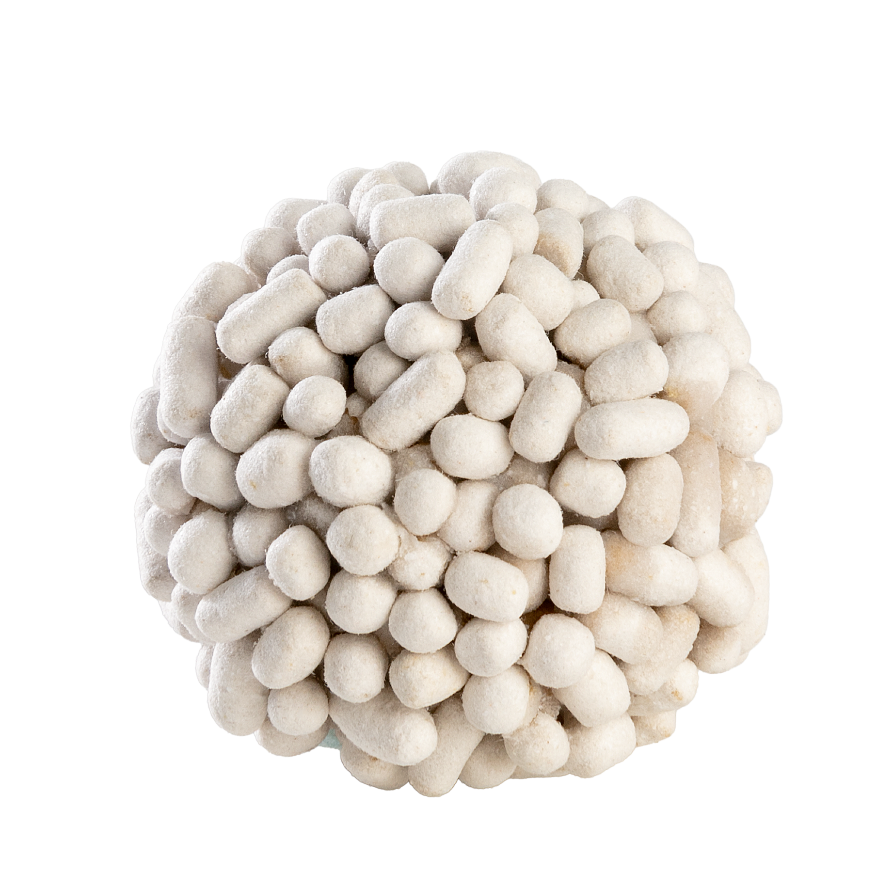 White clumping cylindrical YUTOECOPET plant fiber cat litter.